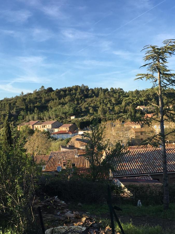 Chambres D Hotes Le Clos Des Vins D Anges Saint-Pierre-des-Champs Exteriör bild