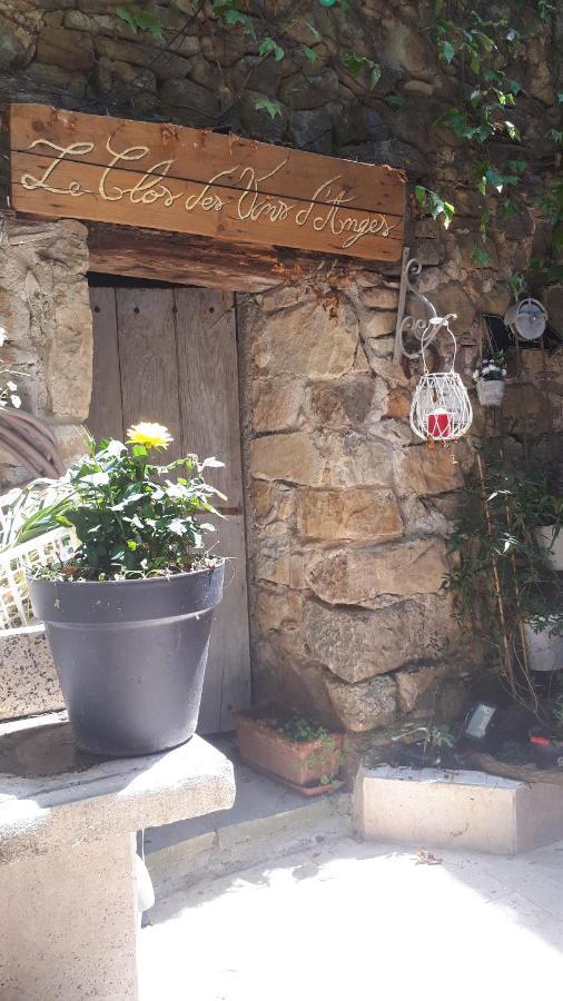 Chambres D Hotes Le Clos Des Vins D Anges Saint-Pierre-des-Champs Exteriör bild
